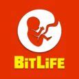 bitlife harem|BitLife: Risk and Villainy Guide: Guide to threesomes, crime, jail .